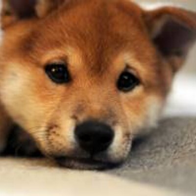 阿部智則 Tnoc18 Twitter 阿部智則 Tnoc18 Twitter