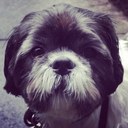 Katie Brim - @osirusninja101 - Twitter