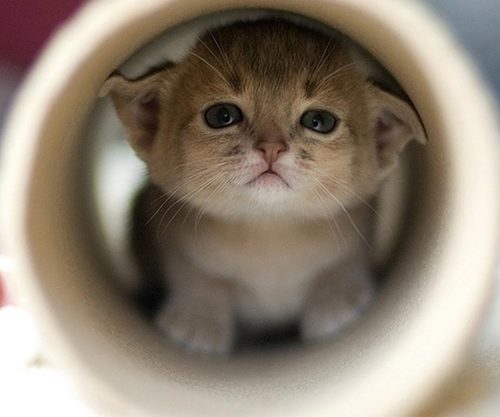 Ghangzzang's profile picture. 