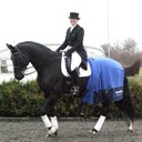 Katy Holder-Vale - @hanoverianstud - Twitter