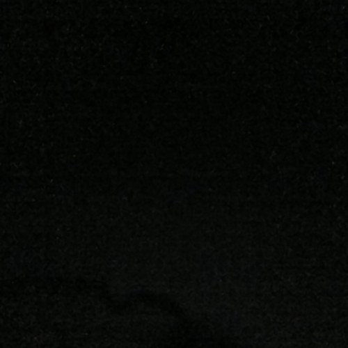 olinka1999 Profile Picture