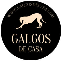 Galgos De CaSa