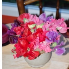 Used to teach, now blissfully involved with own ventures - artistic, horticultural and others....never short of ideas!