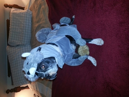 danger_22's profile picture. 