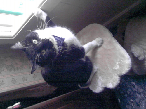 acid71th's profile picture. 