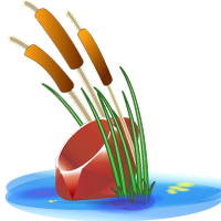 Ruby Bayou (@rubybayou) 's Twitter Profile