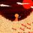 TsnowY17's profile image