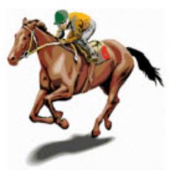 Best Bets at 42% win strike rate, $4.22 av price. Specialist Horse Racing selections by professional experienced and profitable analyst.