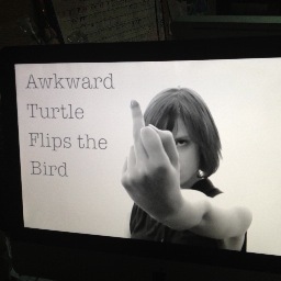 AwkTurtleFlips Profile Picture