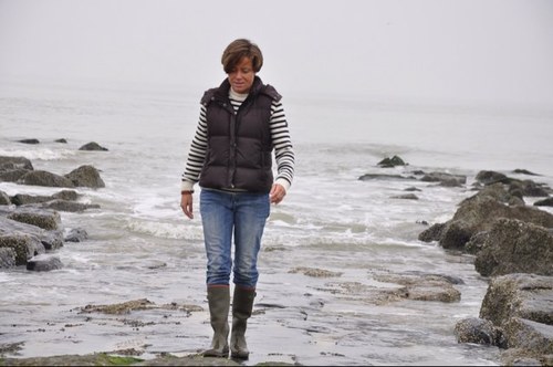 IngeBax's profile picture. 