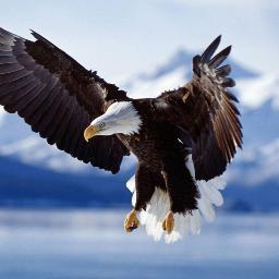 TinyTin55's profile picture. 