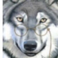 Quetico (@qtheaftermath) 's Twitter Profile
