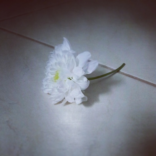 اللهم اجعل ملتقانا بك الجنة يا طارق ...♡
