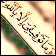 اعيد تغريد مايفيدكم. واغرد بأسلوبي حينما اتضايق..تميزي هو وجودكم.