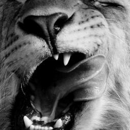 mannegryn's profile picture. passar bäst med en nypa salt.