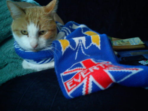 motherofduncan's profile picture. Everton supporter, mother of the precious boy