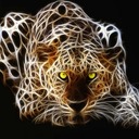 Ali Almazrouei - @almazrouei757 - Twitter