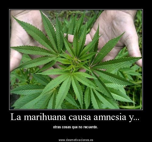 yeah madafacka