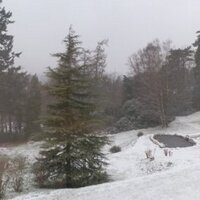 numbers (@m195609) 's Twitter Profile