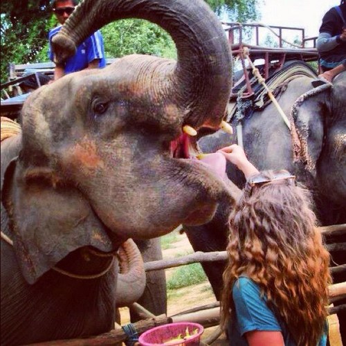 robynlouiseadam's profile picture. 