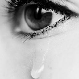 AnxietyhelpUK's profile picture. 