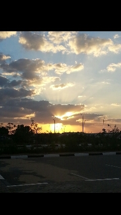 5wlh88's profile picture. Dec. 27 #Capricorn