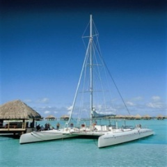 rockerhmzpt's profile picture. Writer, Curious, Mindful, RN Exploring Twitter. Iterests: Life, Death, Earth, Wate, Fire, Aire and Everything In Between. INFJ 1%'er