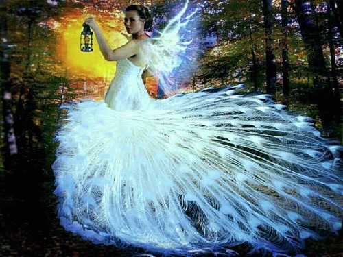 BScharon's profile picture. 