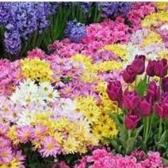 GardenSurreal's profile picture. Felicidade tem nome sim: Deus, família e amigos.