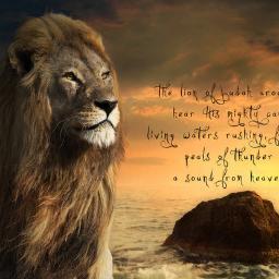 Philomath1809's profile picture. Servant of Christ and Student of the Word.