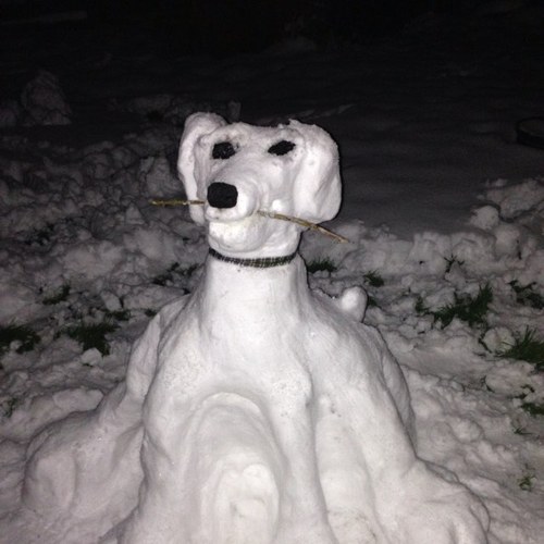 woneye69's profile picture. 