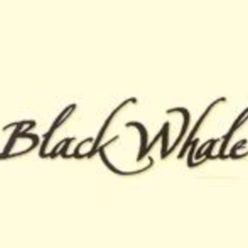 Featuring elegant art by Cape Cod artists, the Black Whale Gallery is the hottest new attraction in Hyannis. Like us on Facebook and Visit us on Main Street!