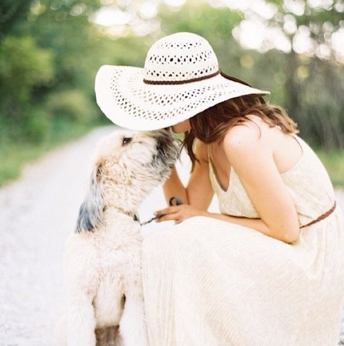 TheBelleofNC's profile picture. a NC lady with an extreme love for sweet tea, laughing too loudly, and reading large books in short periods of time.