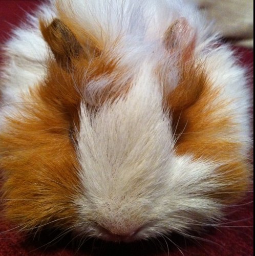 estermaar's profile picture. 