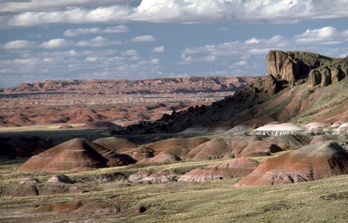 Moore29Wayne's profile picture. I love sports, music and family and friends. I love my dogs to.