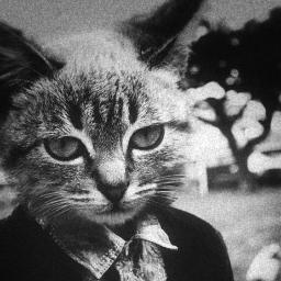 test_tube_baby's profile picture. 