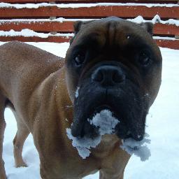 SharonLoveSPS's profile picture. 