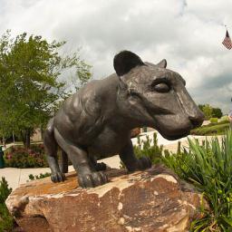 UPJ_Aid's profile picture. 