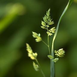 FkNpic's profile picture. Amatuer photographer from #Rüdersdorf (Berlin)