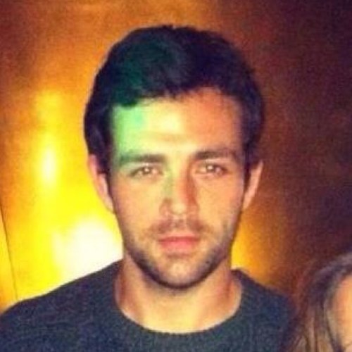 6ft Male. Seeks witty and factual chat. Enjoys long walks and music. No sense of smell. Likes to draw buildings for a living.