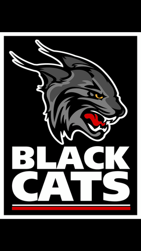 RNBlackCats Profile Picture