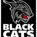 The Black Cats (@RNBlackCats) Twitter profile photo