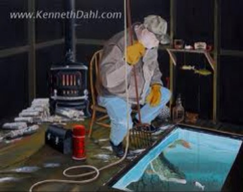 NSportsman's profile picture. 