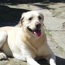 Edith Meyer - @EdithMeyer11 - Twitter