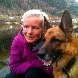 HegeKViken's profile picture. 