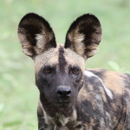 jerrers9's profile picture. Family, Friends, Food, Farming/Forestry