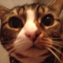 Mariam Qureshi - @qureshim1 - Twitter