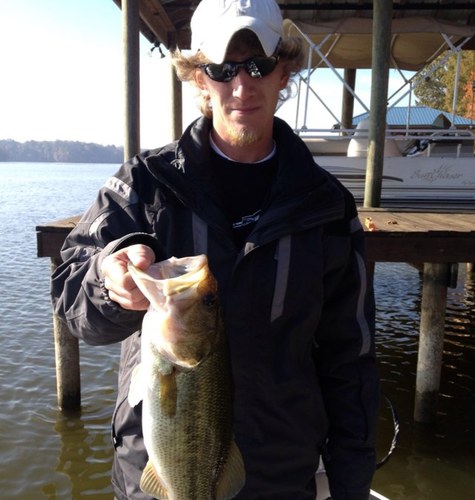 LazyDavidTaylor's profile picture. I don't always tweet, but when I do I usually offend someone.