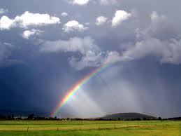 Extreme Weather Damage Attorneys - Need help fighting insurance giants? Call Burwell Nebout Law