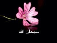 سبحان الله والحمد لله‏‏